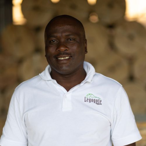 Muzi Nyauzi